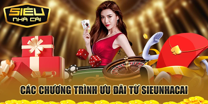 Các chương trình ưu đãi từ nhà cái