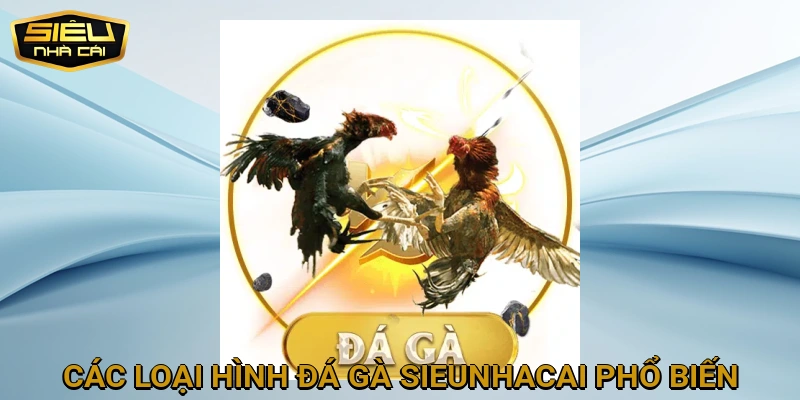 Các Loại Hình Đá Gà SIEUNHACAI Phổ Biến