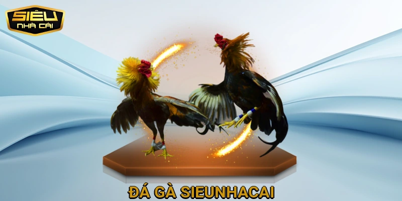 Đá Gà Sieunhacai
